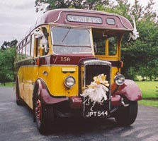 Bus